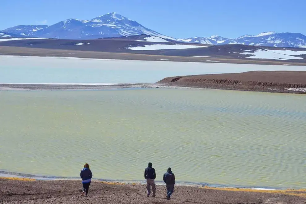 La Reserva provincial Laguna Brava, llamada inicialmente Reserva Provincial de Vicuñas y de Protección de Ecosistemas de Laguna Brava, se encuentra en el extremo noroeste de la provincia de La Rioja