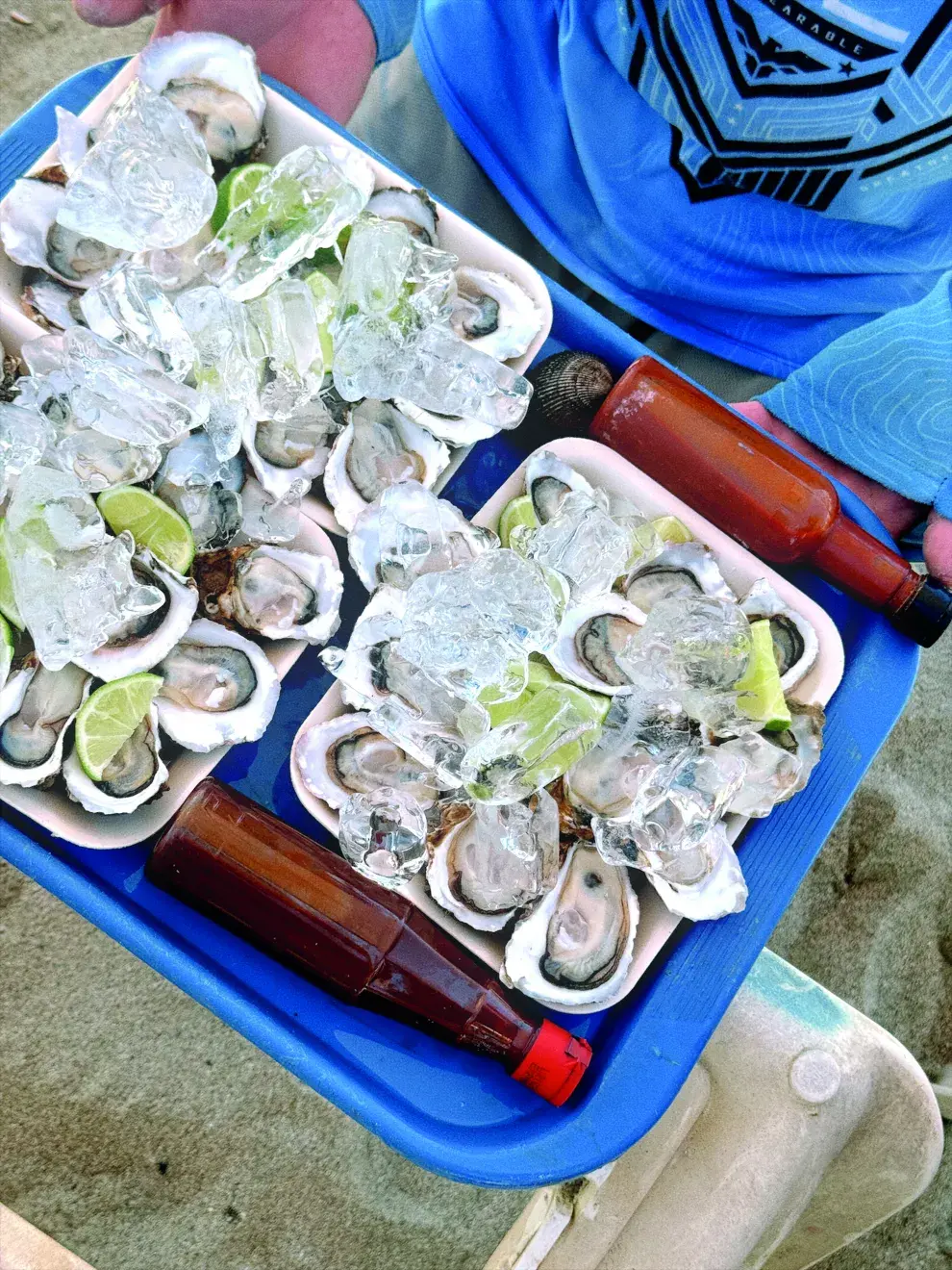 Ostras en las playas mexicanas.