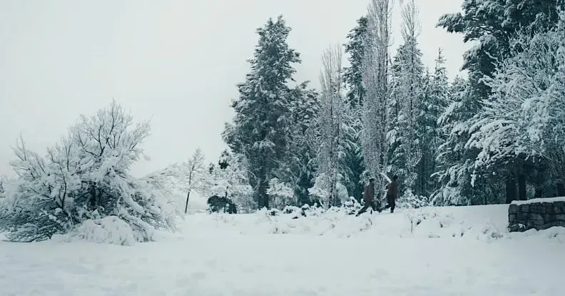 Imagen de la pelicula Una muerte silenciosa