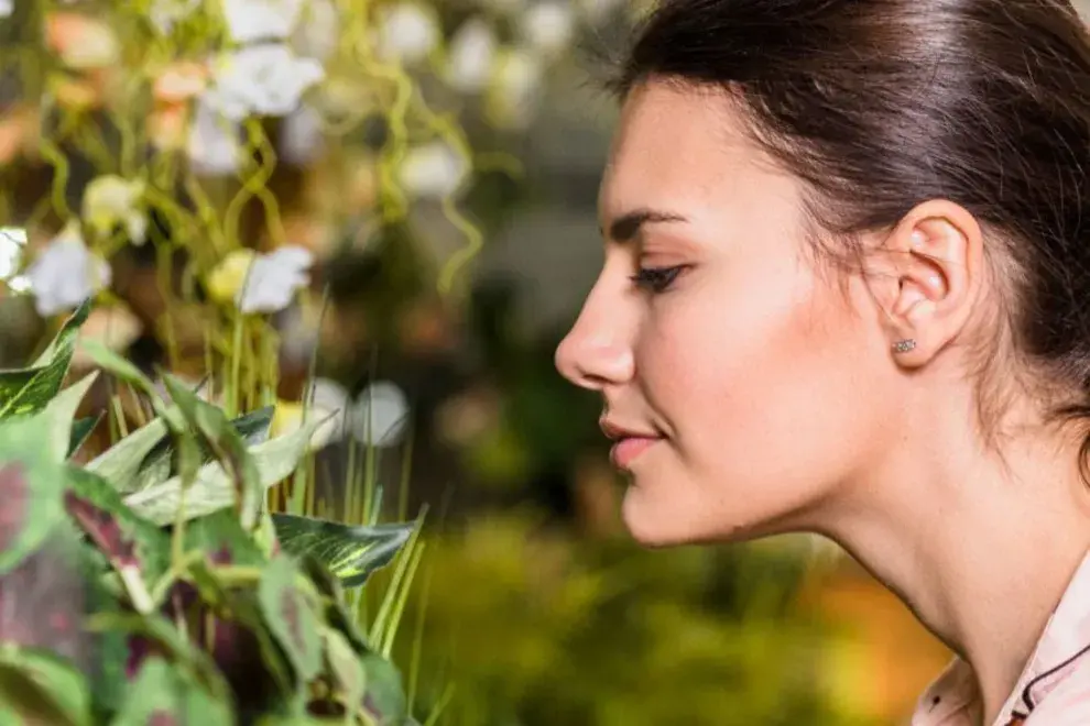 Los viveristas especializados en orquídeas, cactus, suculentas y plantas tropicales nos sugieren sus especies favoritas.