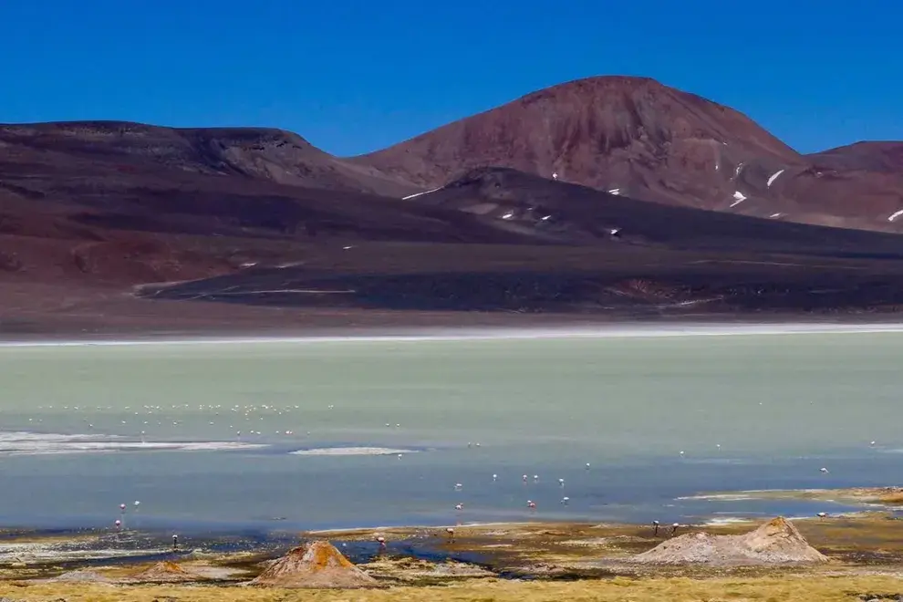 La Reserva provincial Laguna Brava, llamada inicialmente Reserva Provincial de Vicuñas y de Protección de Ecosistemas de Laguna Brava, se encuentra en el extremo noroeste de la provincia de La Rioja