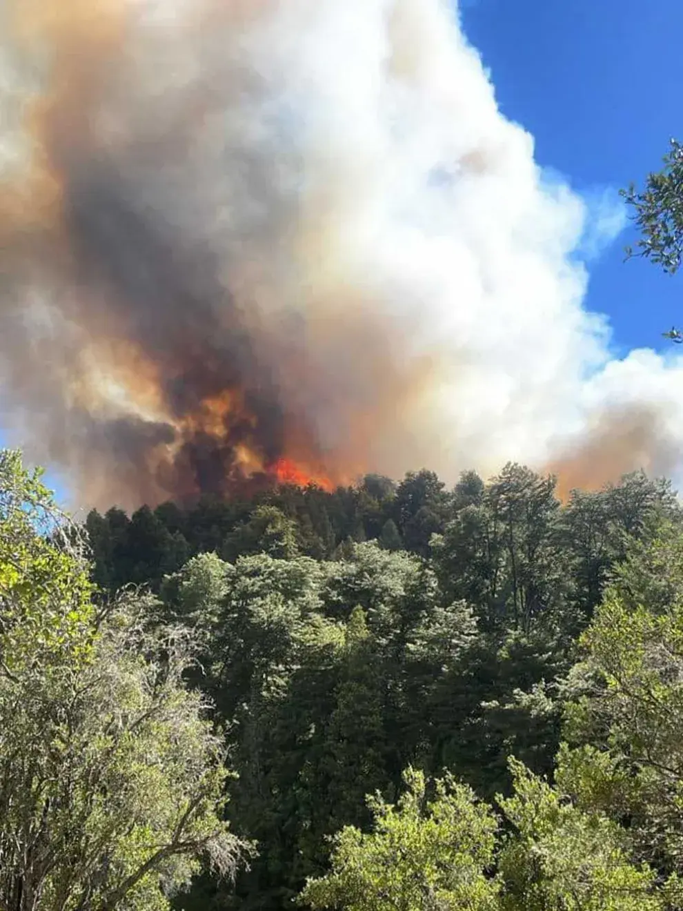 El principal foco se extendió a los costados del sendero de Wharton