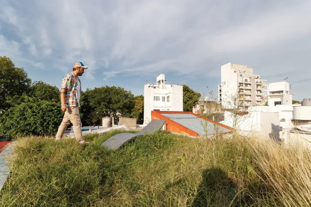 El techo con pastizales es transitable, un buen lugar para cambiar de perspectiva y sentarse a descansar. 