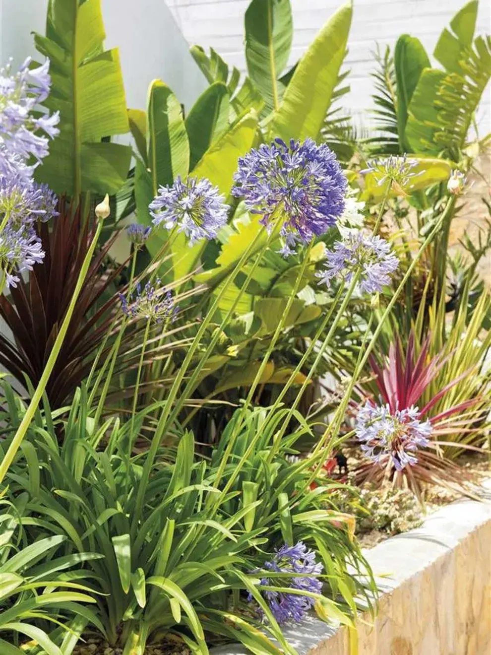 Las flores de estación son una buena manera de aportar color a tu terraza