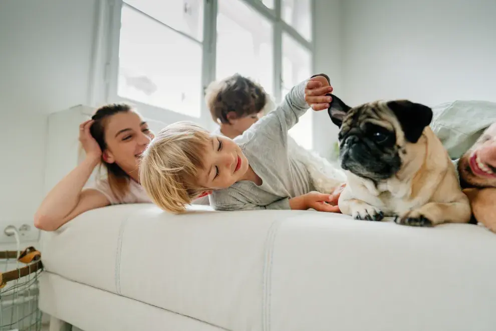 familia juega con perro