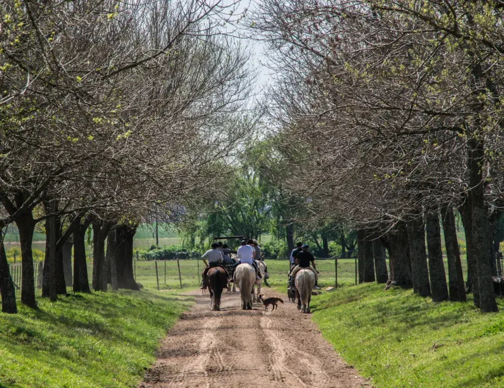 San Antonio de Areco, provincia de Buenos Aires