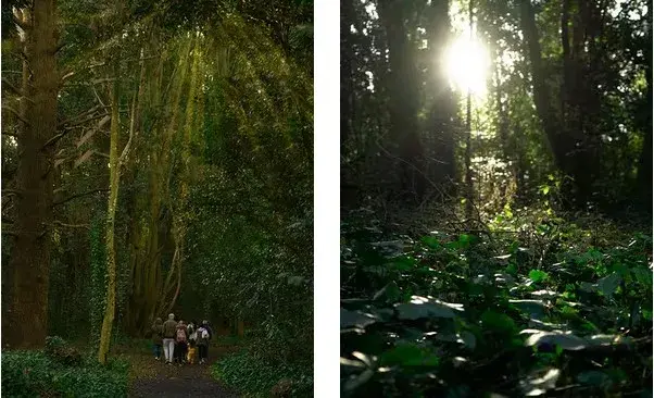 El Bosque Encantado (General Belgrano)