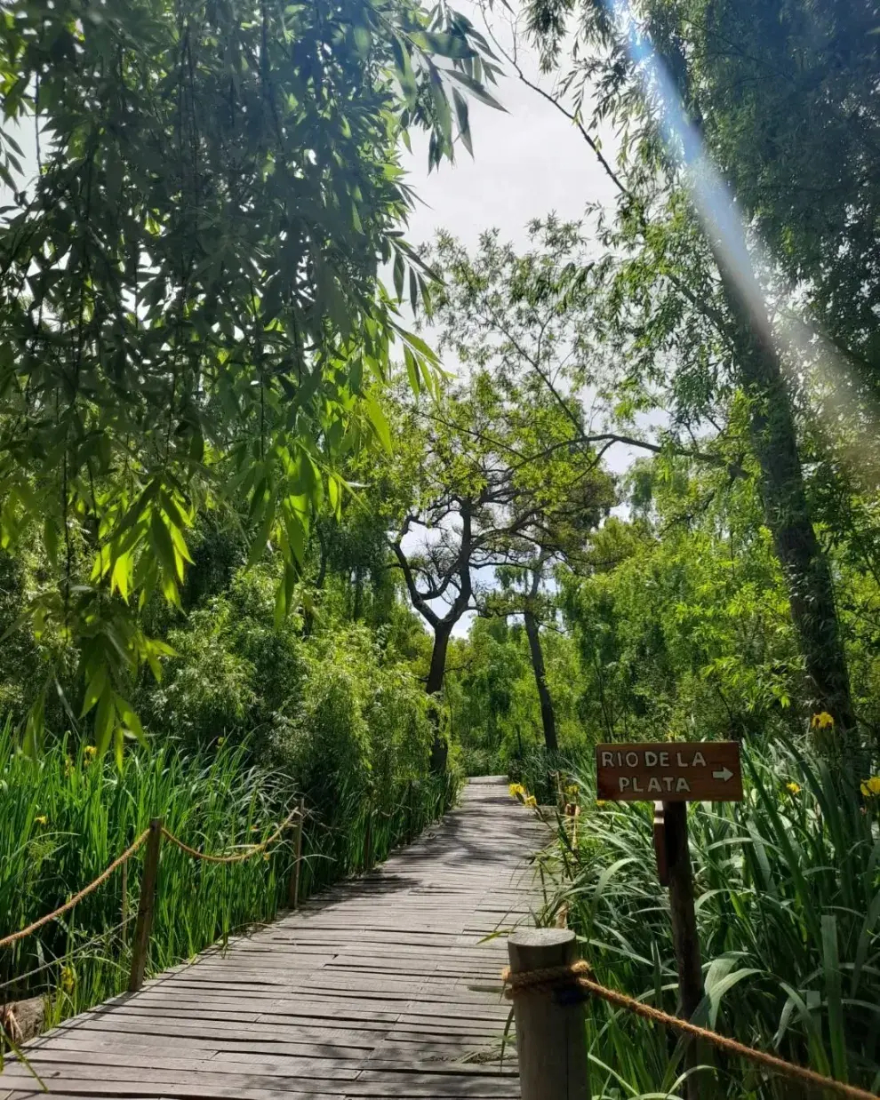 Ecoparque Avellaneda