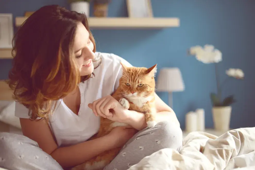 Día Mundial del Gato: cómo cuidarlos bien