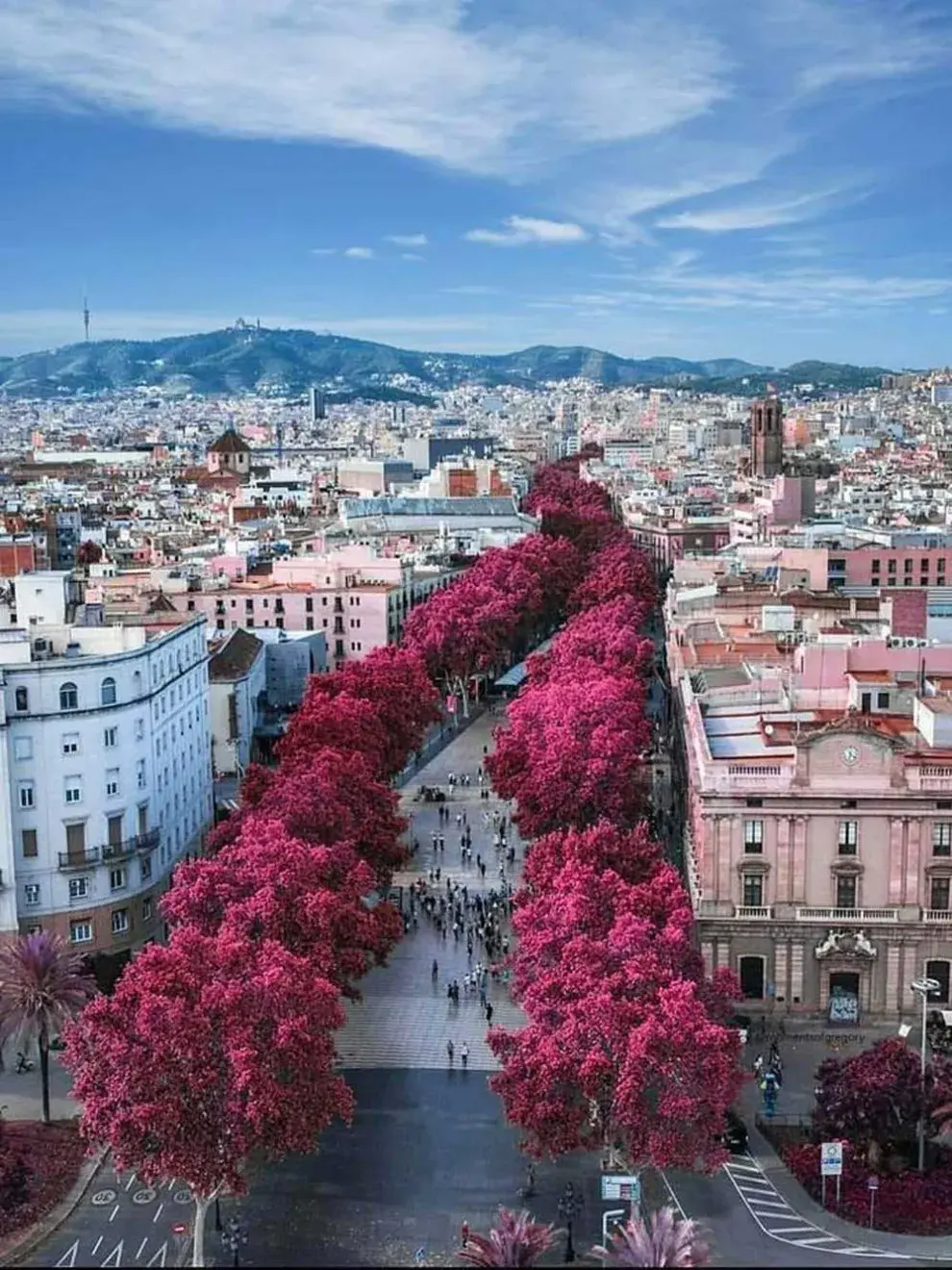 La Rambla es una calle peatonal de Barcelona, España, que une la Plaça de Catalunya con el Port Vell. Es una de las calles más famosas de la ciudad y un destino turístico imperdible. 