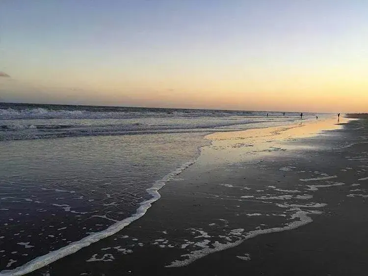 Foto de Las Gaviotas.