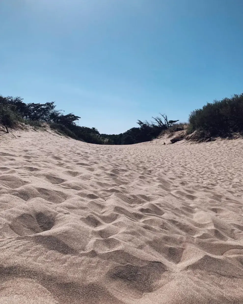 Foto de Las Gaviotas.