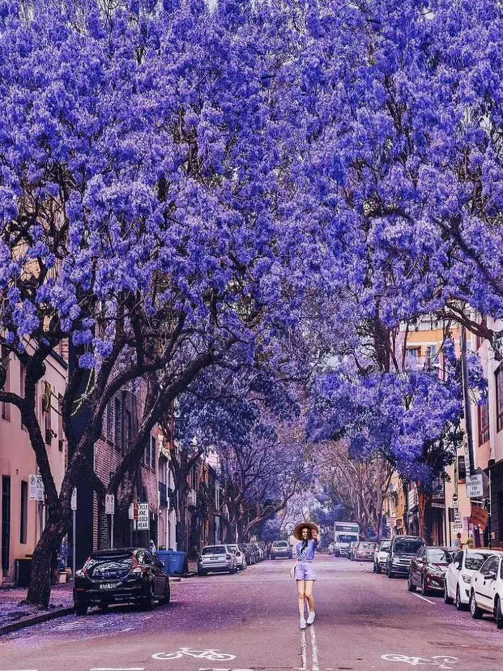 Oxford Street es una vía importante en Sydney, Nueva Gales del Sur, Australia, que va desde la frontera sureste del distrito comercial central de Sydney hasta Bondi Junction en los suburbios del este. 