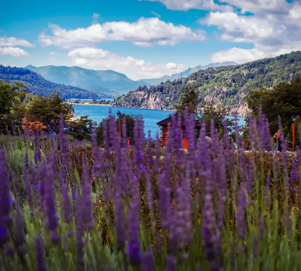 Con la llegada de Semana Santa se empiezan las reservas para hacerse una escapada. De acuerdo a las reservas, hay una serie de destinos preferidos por los argentinos para disfrutar del feriado largo, que este año será del jueves 17 al 20 de abril.  En la plataforma Despegar, las búsquedas para el finde XXL crecieron un 25% respecto al mes pasado, lo que reafirma la tendencia creciente de los viajeros por planificar con anticipación. Este incremento se ve principalmente reflejado por los destinos domésticos,