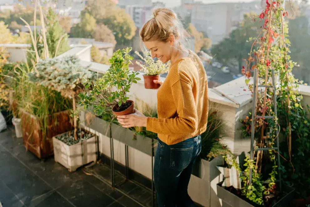 Podés sumar plantas a tu pequeño patio con macetas, estantes y otros objetos deco