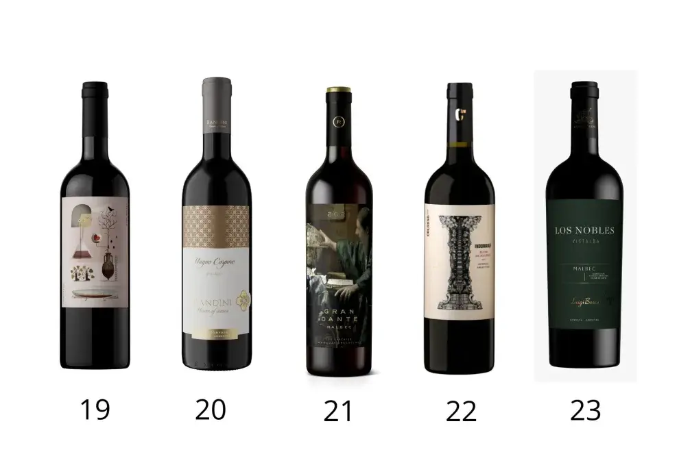 Vinos de alta gama que te van a enamorar.