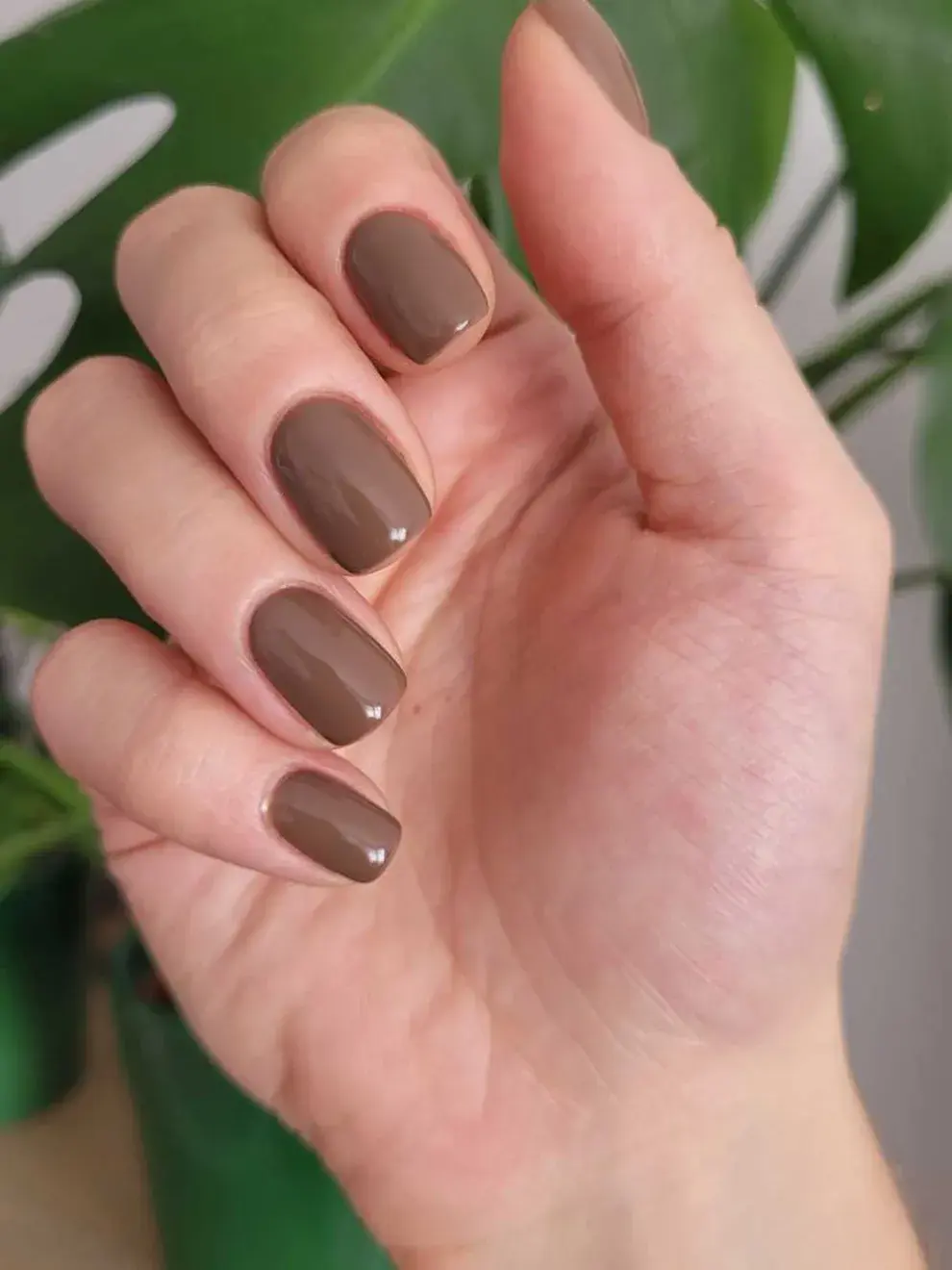 El mocha mousse llegó al mundo beauty