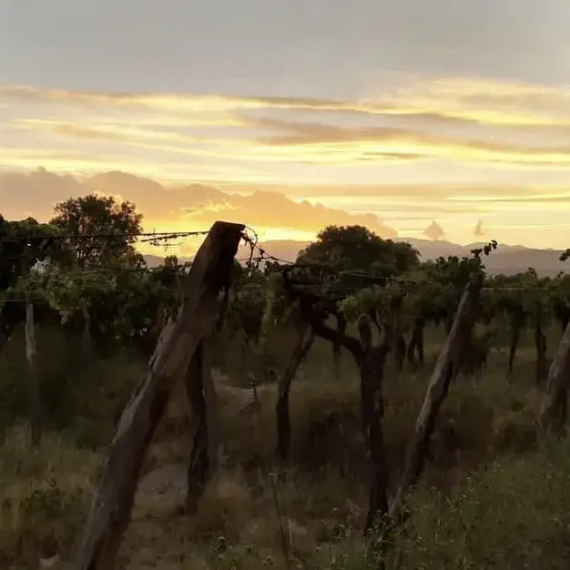 Un paisaje apacible en Fiambalá, Catamarca.