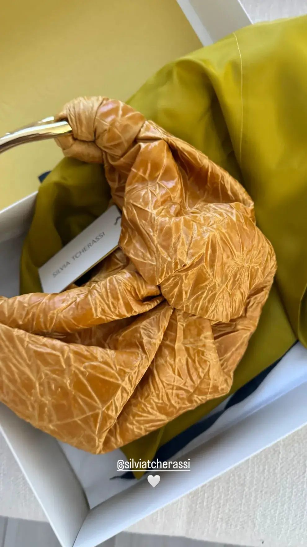 Storie de Antonela Roccuzzo mostrando el bolso de lujo que recibió de regalo.