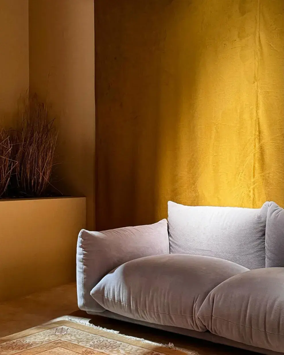 Colores con propósito tendencia 2025-2026 