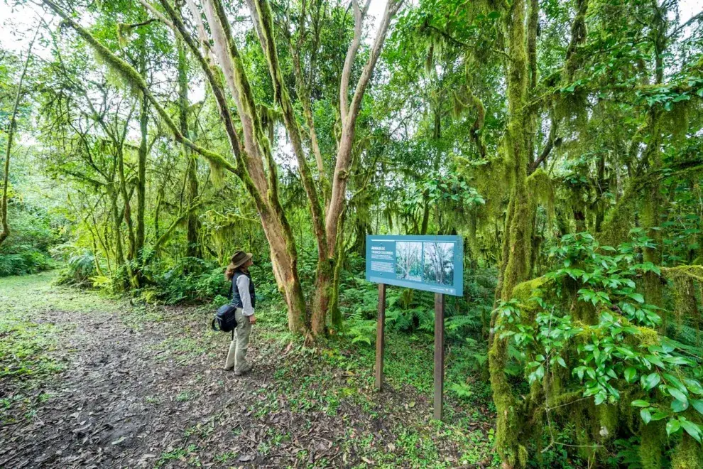 Parque Nacional Aconquija, en Tucumán.
