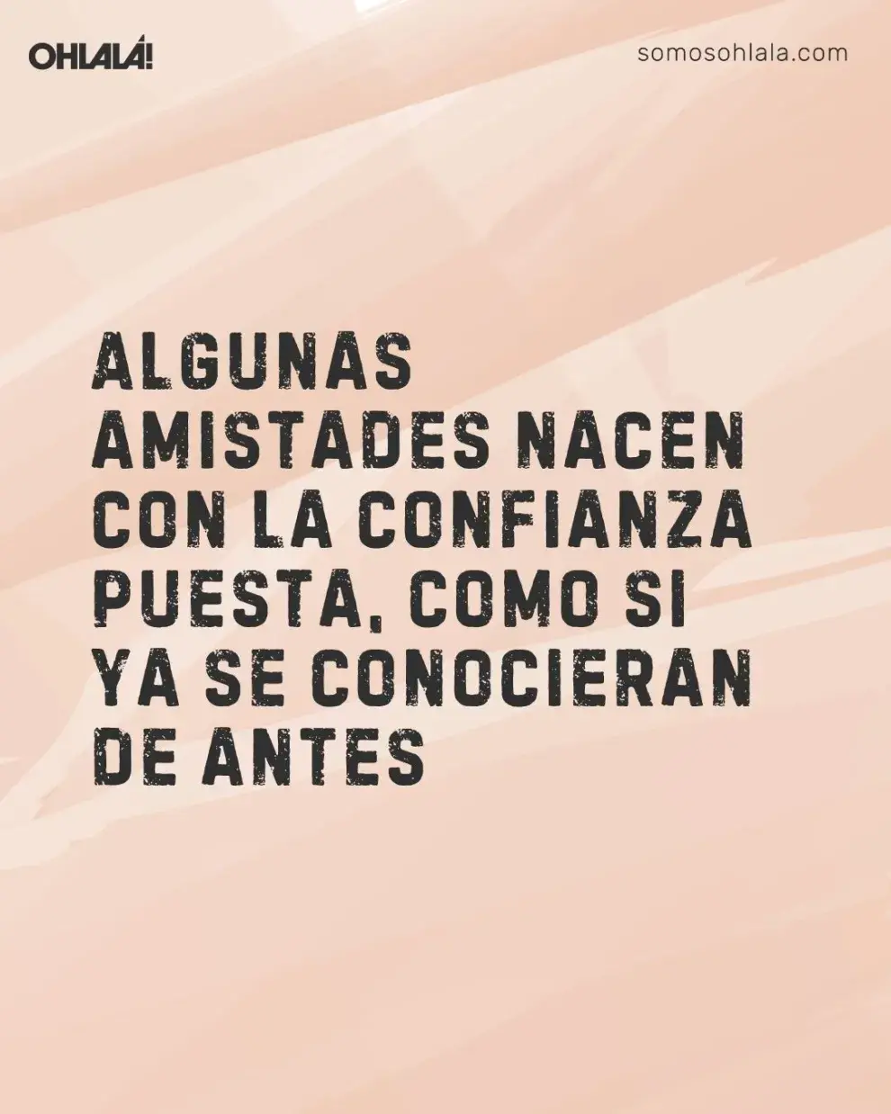 Algunas amistades nacen con la confianza puesta, como si ya se conocieran de antes