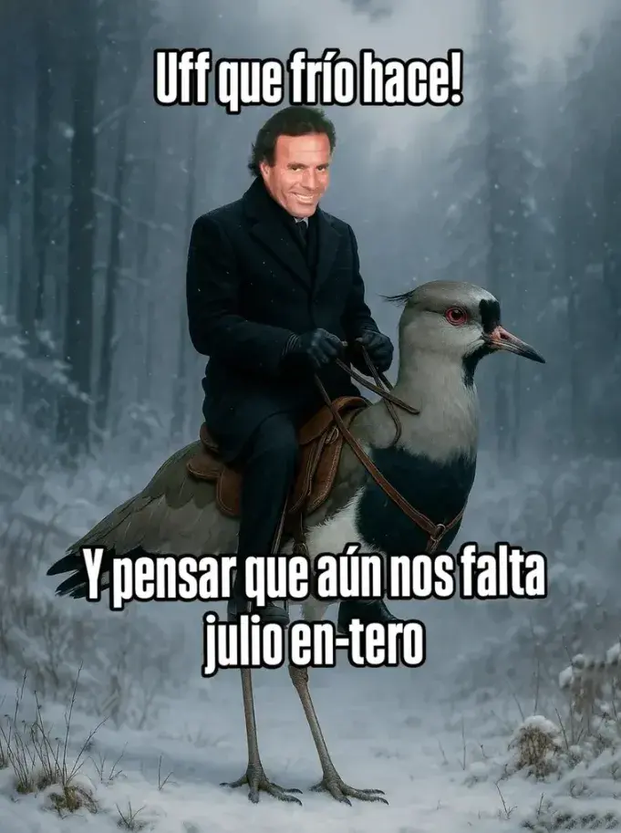 Los memes de Julio sobre la ola del frío polar