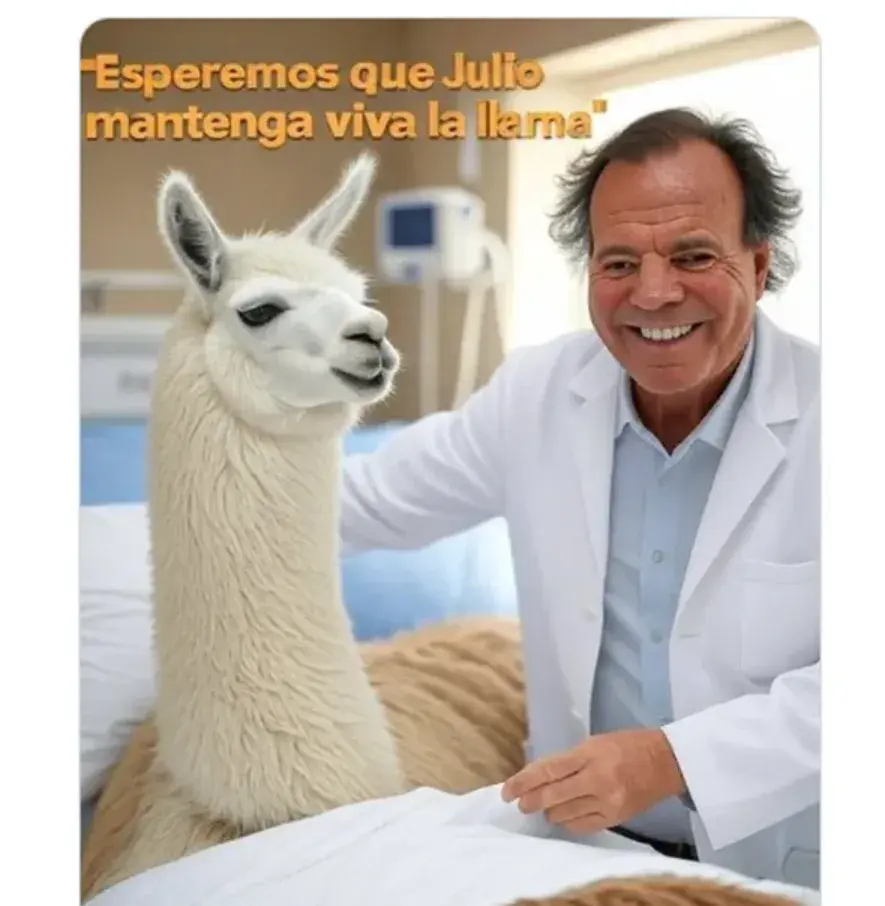 Los memes de Julio con un hit rotundo en las redes