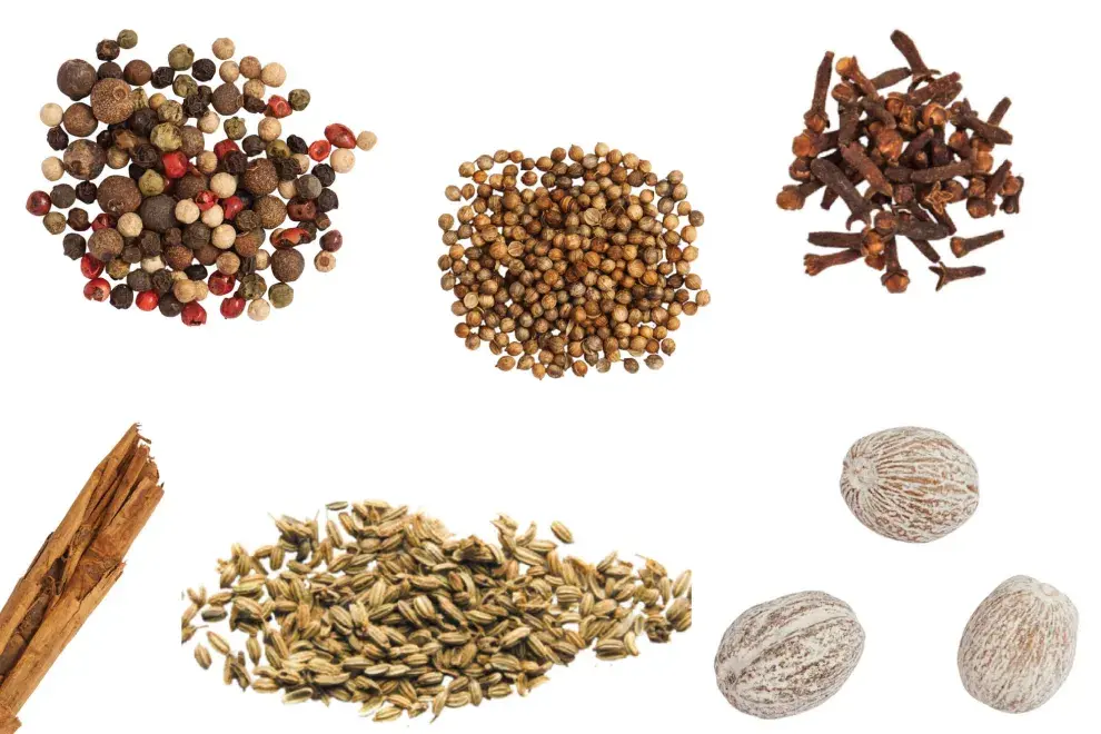 Las especias tienen sabores concentrados que sazonan las comidas. Arriba de izq. a derecha: pimientas de distintos colores, coriandro, clavo de olor, canela, semillas de hinojo y nuez moscada, un elenco muy completo que incluye semillas, frutos, flores y cortezas.