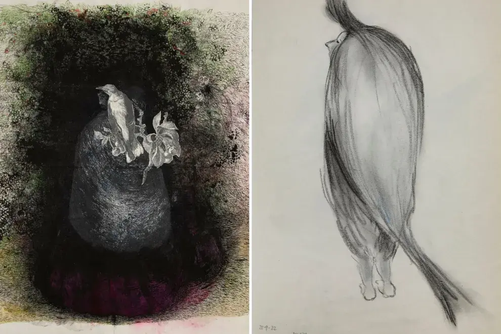 Las mujeres pájaro se reversionan una y otra vez en la obra de Delia Cancela.