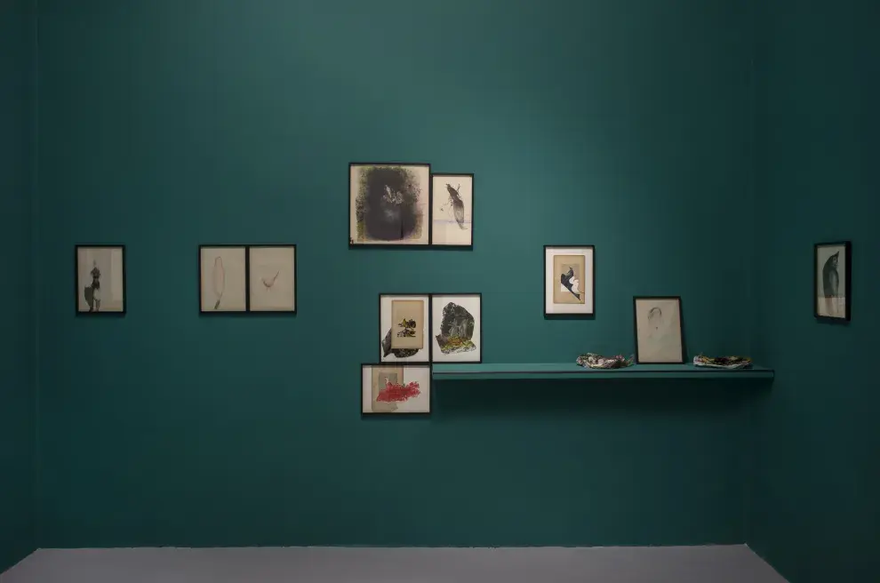 En esta muestra, Cancela rinde homenaje a su musa: Lewis Carroll.