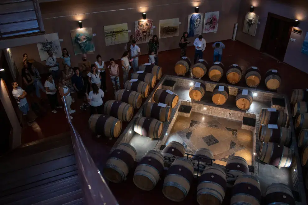 Familia Schroeder: vino, arte y experiencias para todos los sentidos