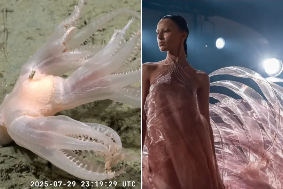 Comparación con un vestido de la colección Sympoiesis de Iris van Herpen.