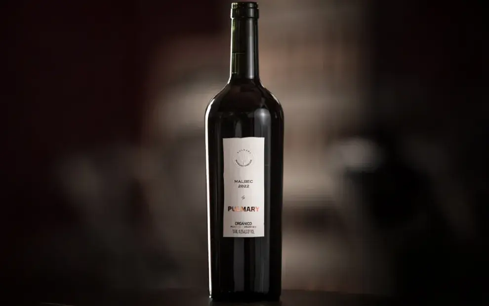 Malbec Reserva, de Bodega Pulmary