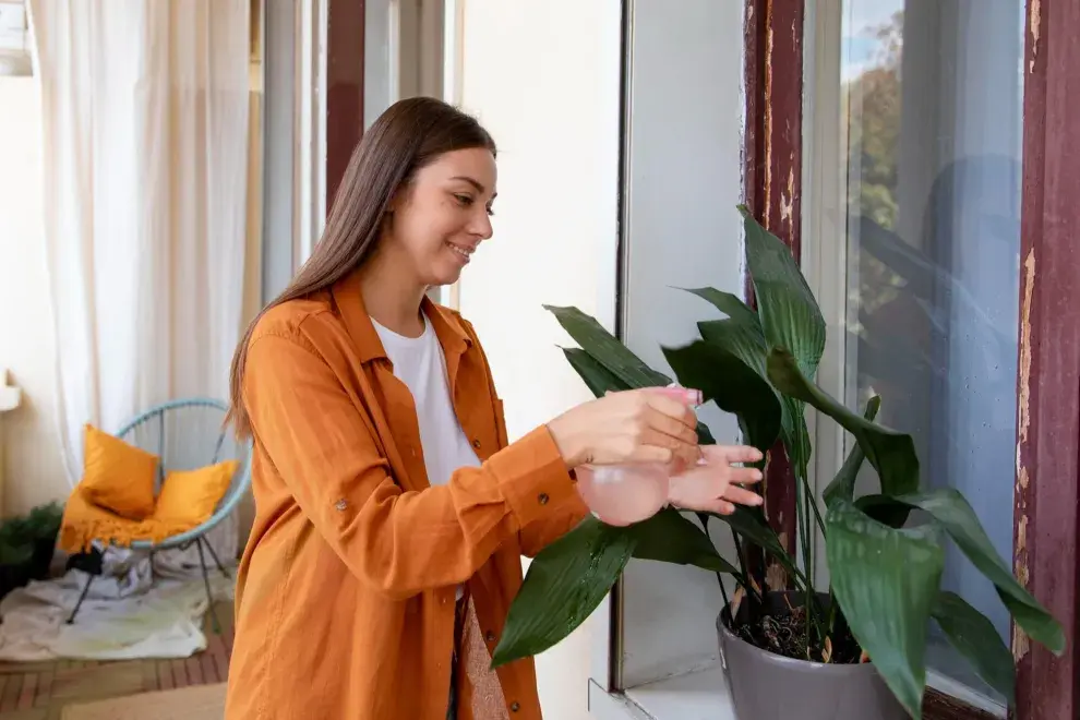 Entrar a casa las plantas que tenés en el balcón es una buena manera de protegerlas pero no a todas las especies les sienta bien y hay que tener mucho cuidado con los efectos de la calefacción.
