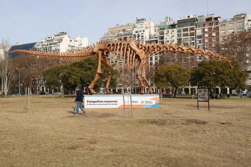Desde el 27 de junio hasta el 31 de agosto, el Parque Thays tendrá una visita muy especial: una imponente réplica del esqueleto del dinosaurio más grande del mundo