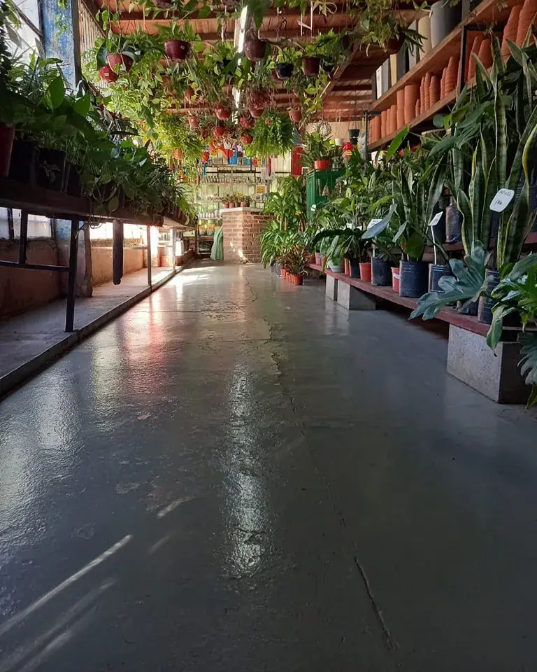 Viveros recomendados en el barrio de Flores: Los Aromos (Venancio Flores 3910)