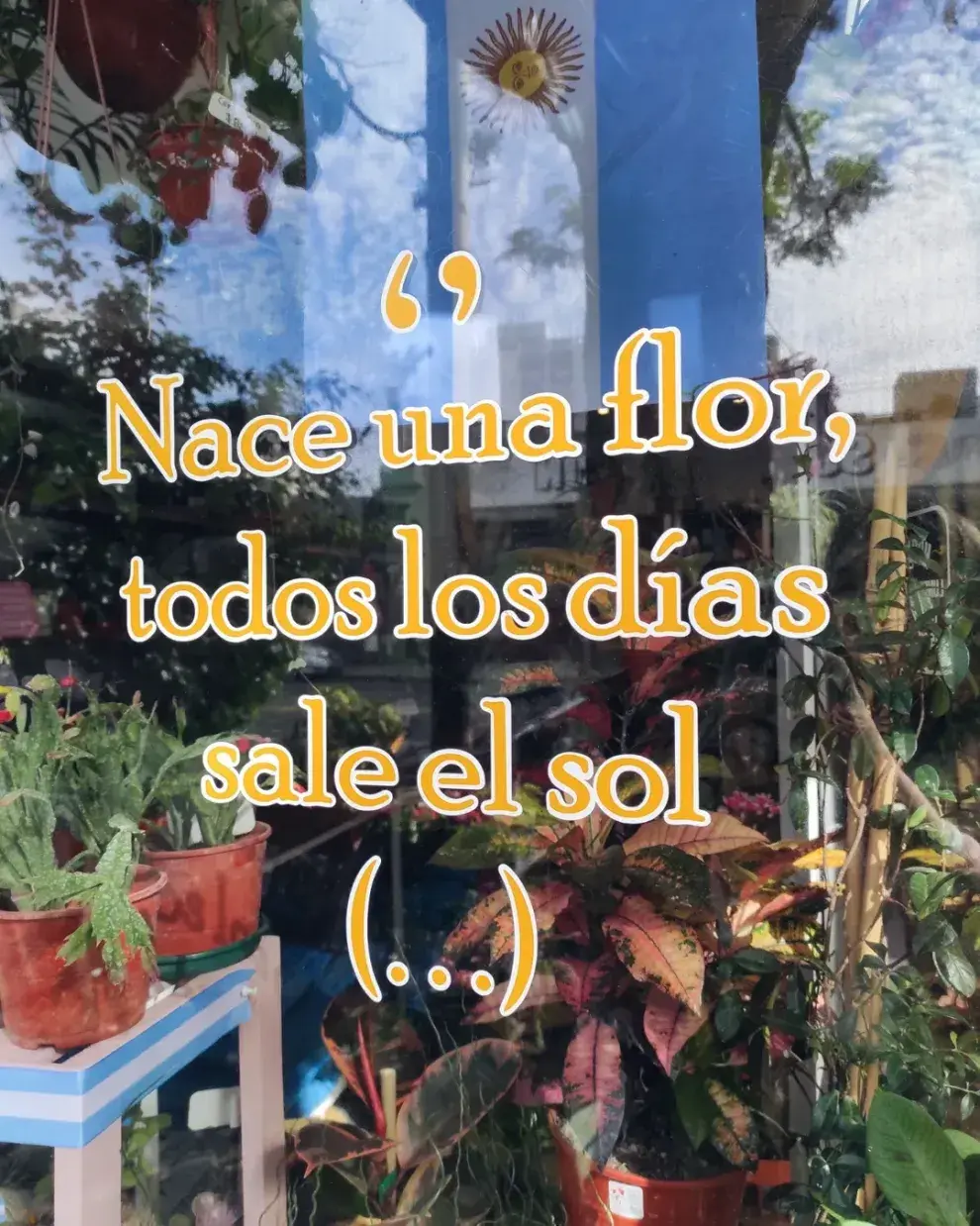 Viveros recomendados en el barrio de Flores: Pucha caray! (Av. Nazca 1664)