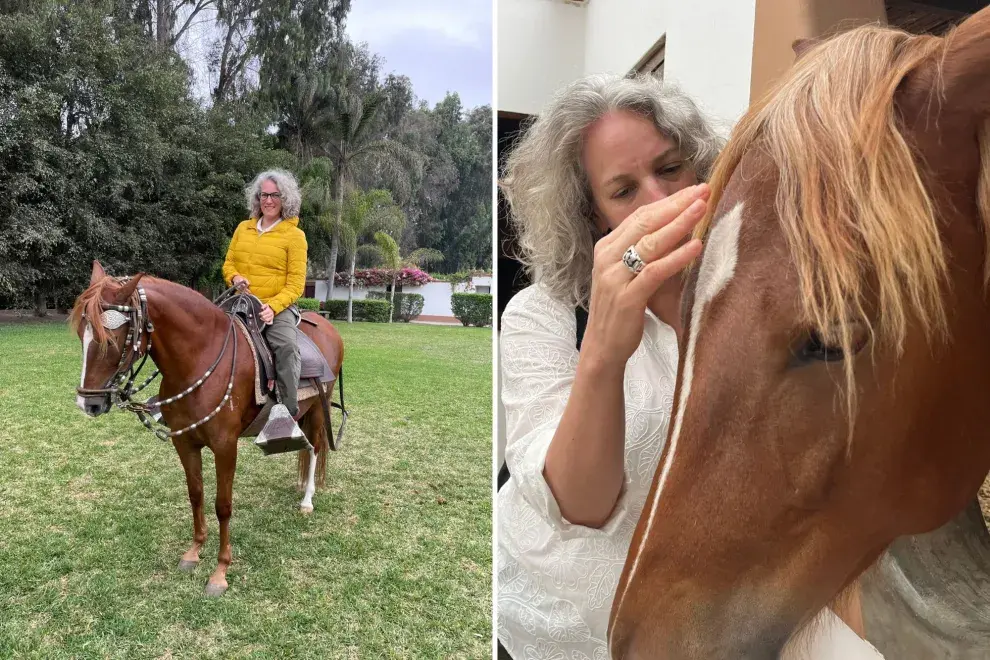 A los caballos de paso peruano se los llama los embajadores silenciosos de Perú.