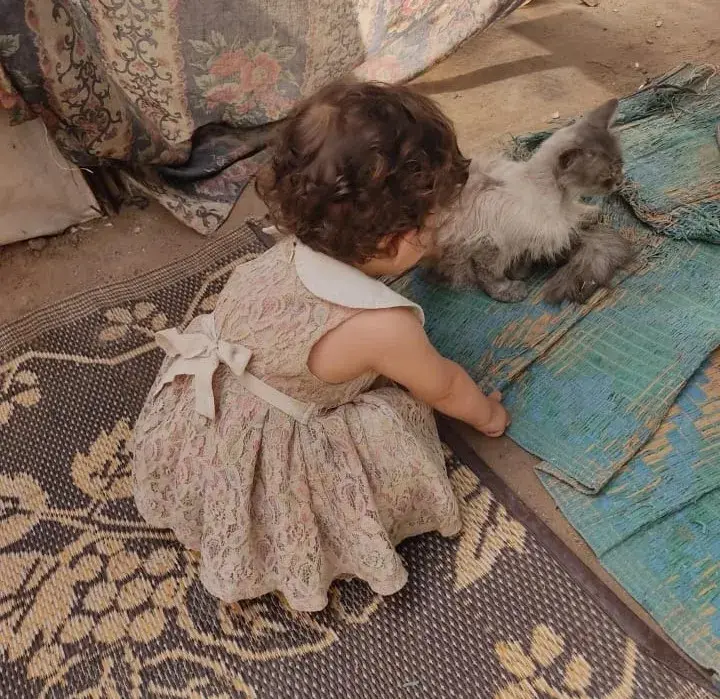 Nuestros días en el refugio