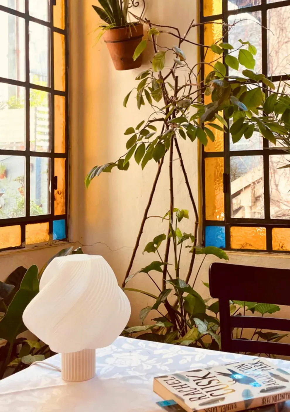 Las lámparas Kinoko, un abrazo a la naturaleza con diseño sustentable y personalizable.