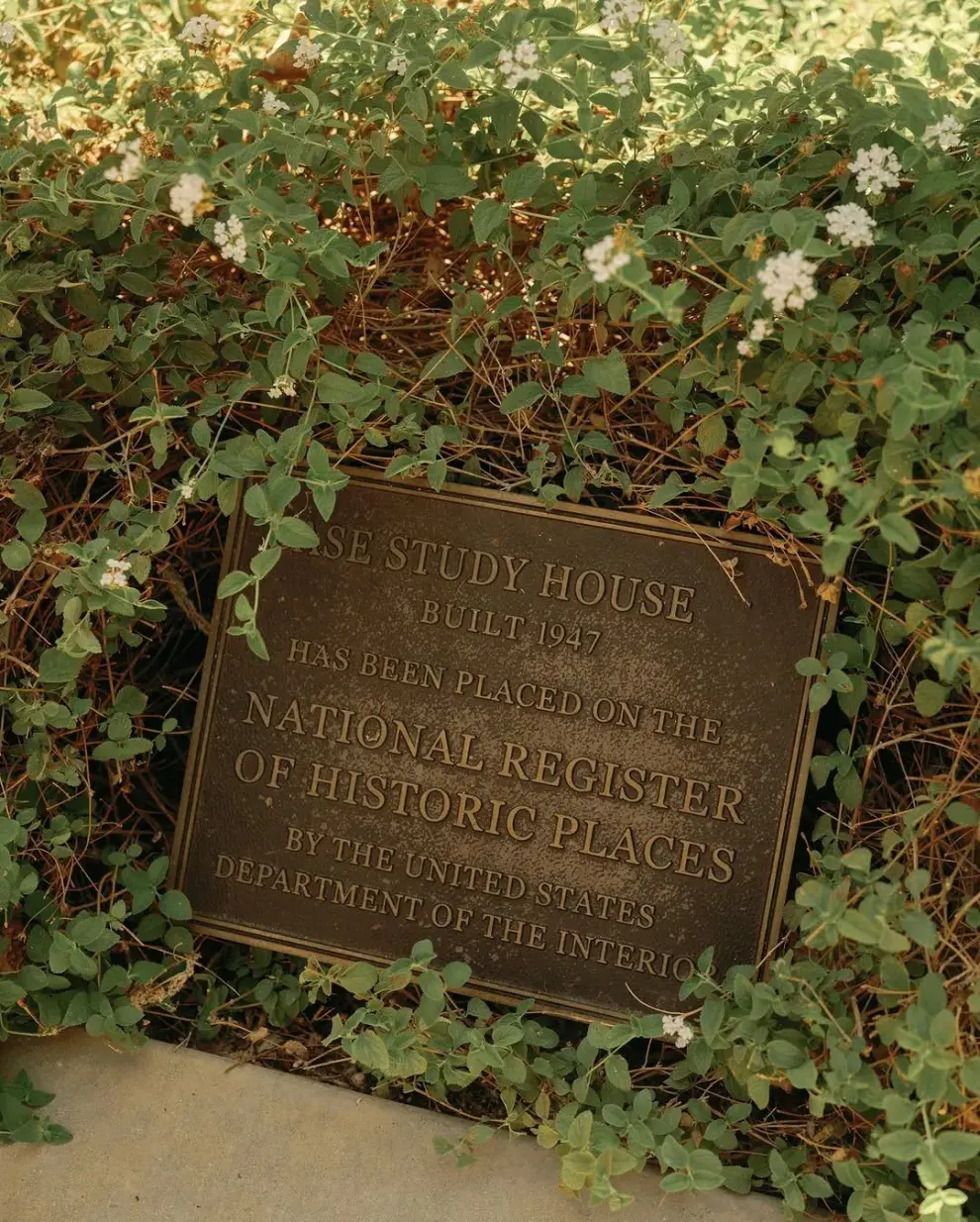 Así es la casa de Lily Collins en Los Ángeles.