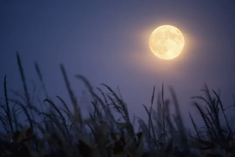 Luna llena de septiembre: ¿por qué se la llama “Luna de Cosecha"?