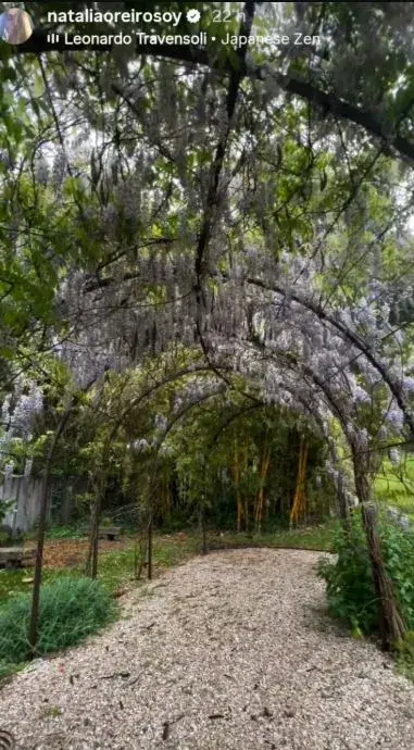 Este jardín no es solo un espacio verde: es un refugio emocional, una expresión de belleza consciente y una forma de traer un pedacito de Japón al corazón de Buenos Aires.Este jardín no es solo un espacio verde: es un refugio emocional, una expresión de belleza consciente y una forma de traer un pedacito de Japón al corazón de Buenos Aires.