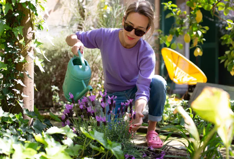 Qué sembrar en septiembre para tener un jardín colorido y lleno d.e vida en verano
