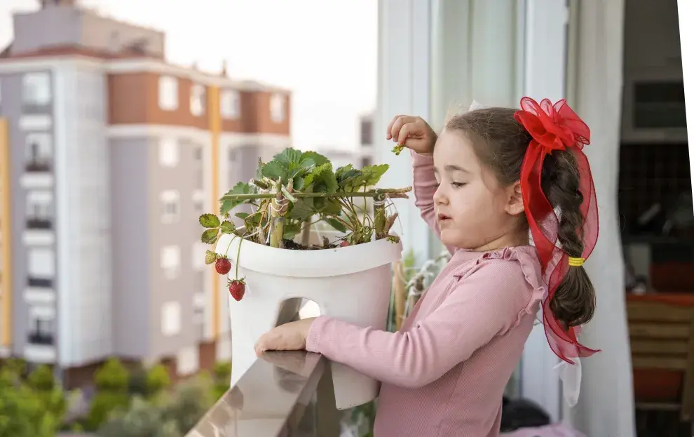 Las mejores plantas comestibles para cultivar en balcones y espacios chicos: frutilla.