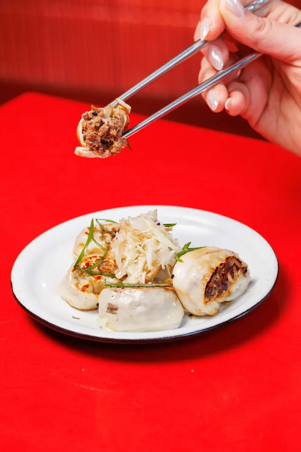 Dumpling de res
