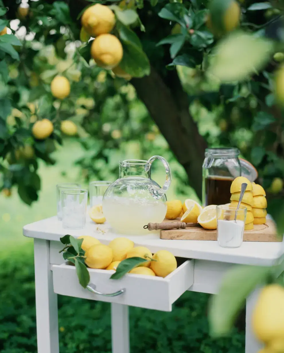 Qué hacer en primavera para que el limonero dé más frutos.