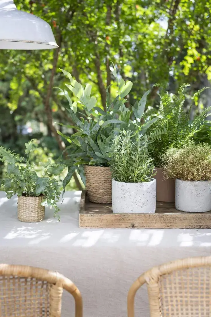 Parques chicos: 10 ideas fáciles para darle onda a tu jardín