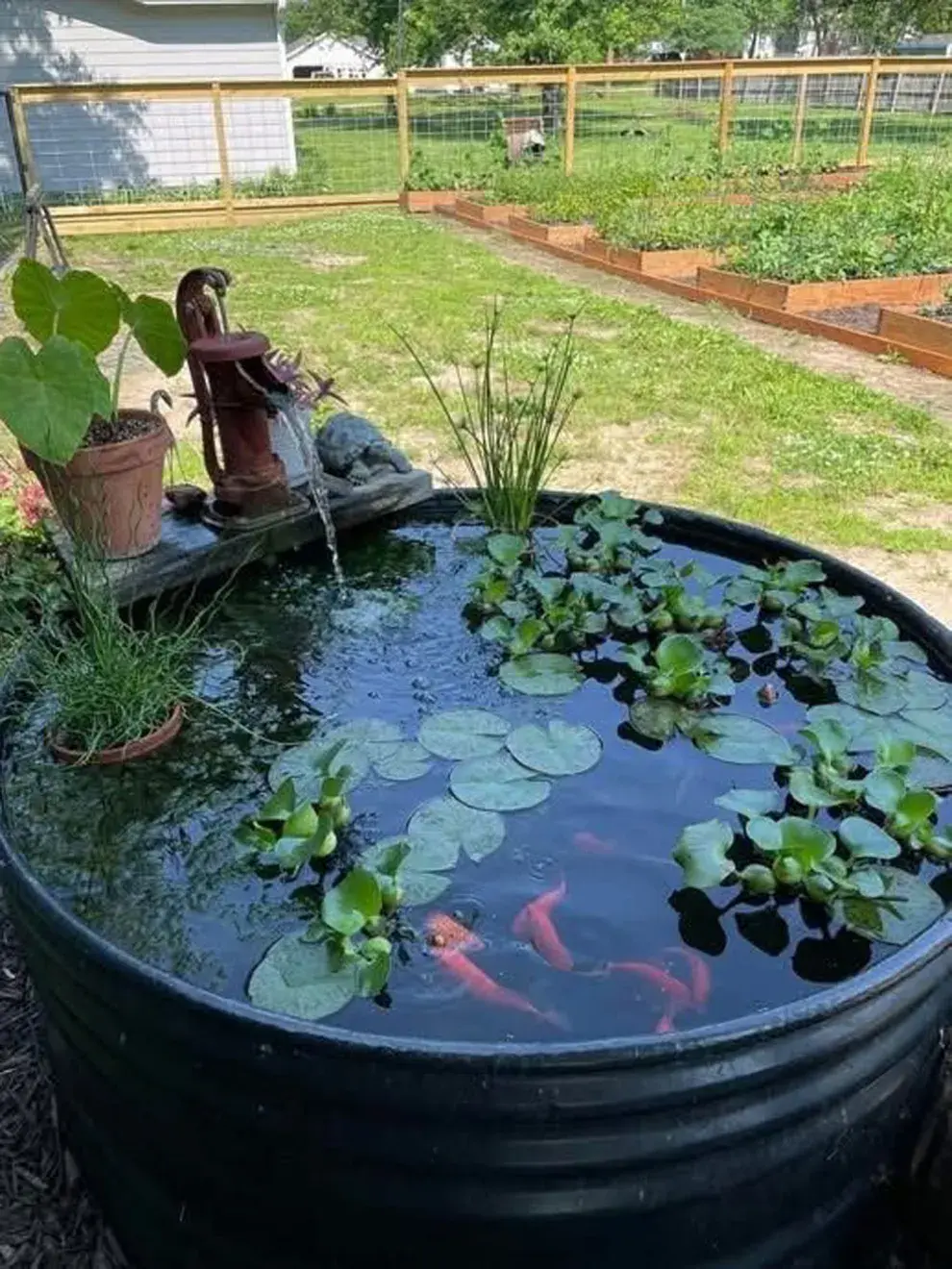 onsidera construir estanques con diferentes profundidades para crear microhábitats para la fauna auxiliar, como ranas y libélulas. 